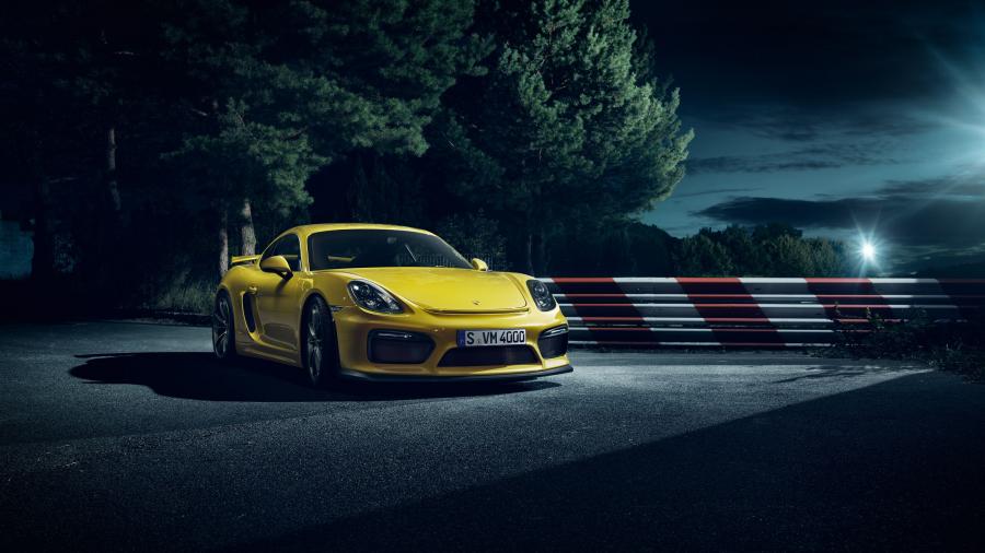  Porsche Cayman GT4 2015 года  (фото 16 из 28)